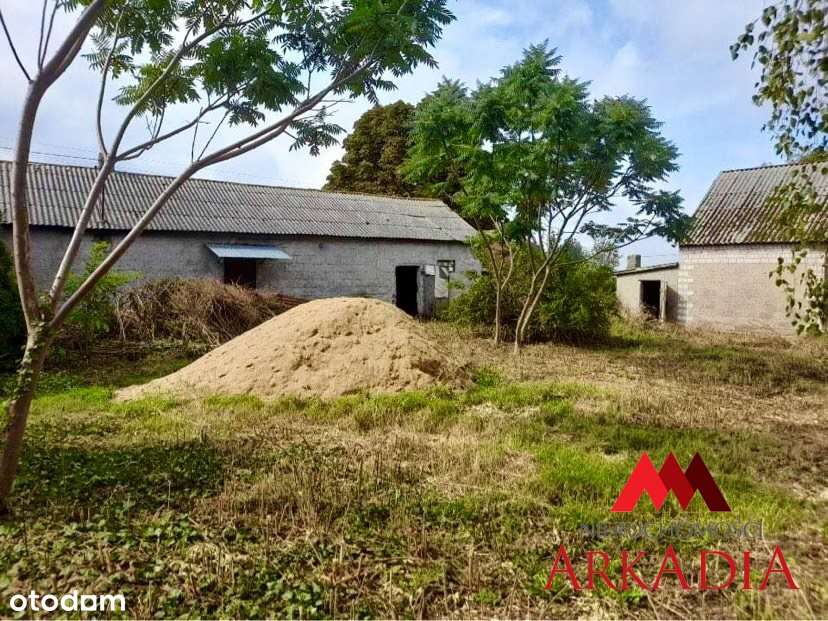 Siedlisko nad jeziorem-Choceń,Siewiersk-10