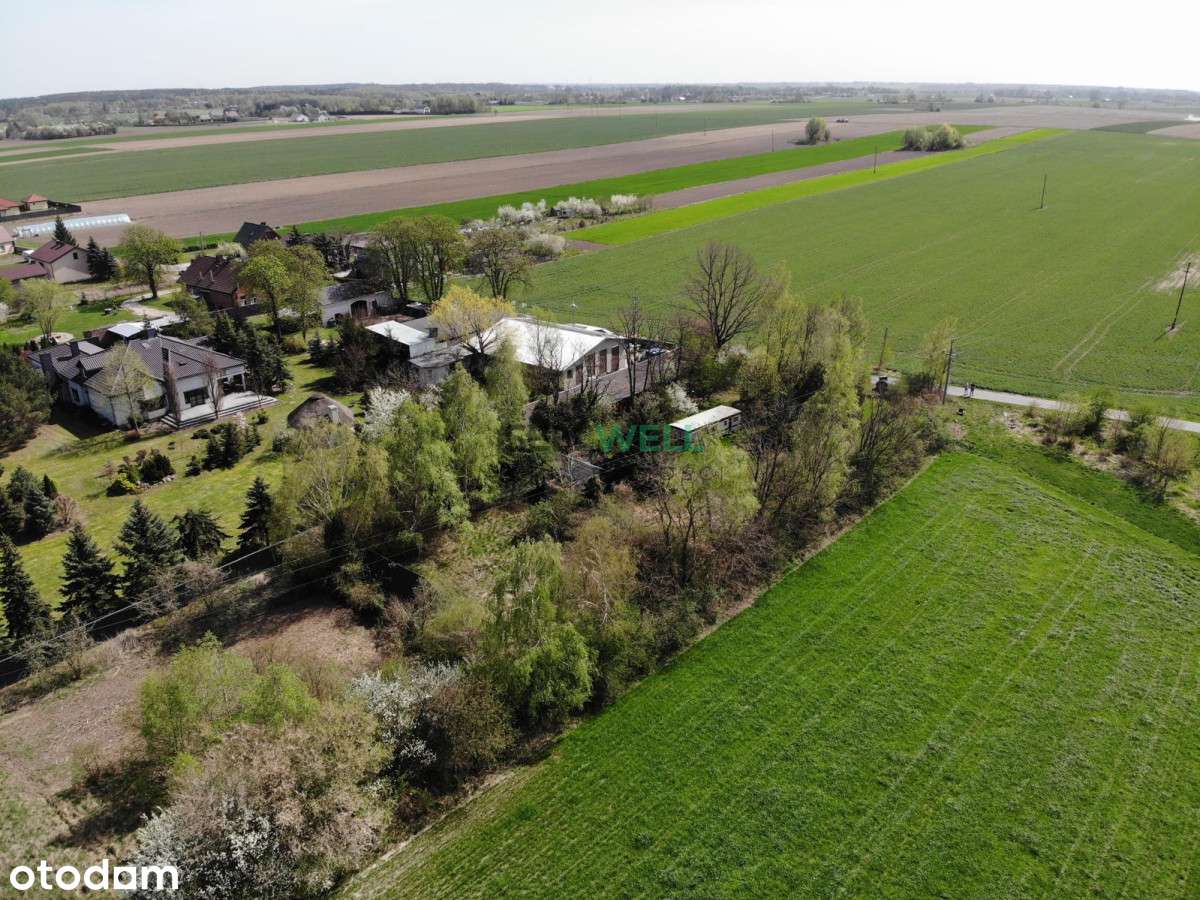 Działka pod zabudowę - Kolonia Bechcice - Pełny obrazek: 3/6