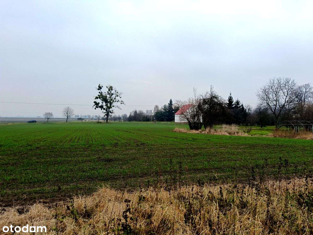 Działka 20 arów 4 km od centrum Sobótki!!! - Pełny obrazek: 2/14
