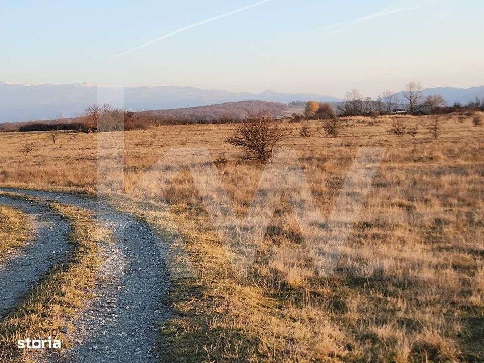 Oportunitate investitie | De vanzare, 3 parcele de 560 mp. - Imagine principală: 3/5