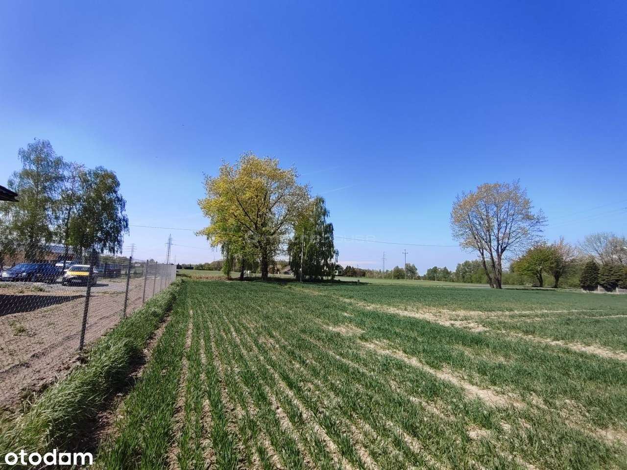 Działka budowlana z usługami nieuciążliwymi! 45 ar - Pełny obrazek: 4/9