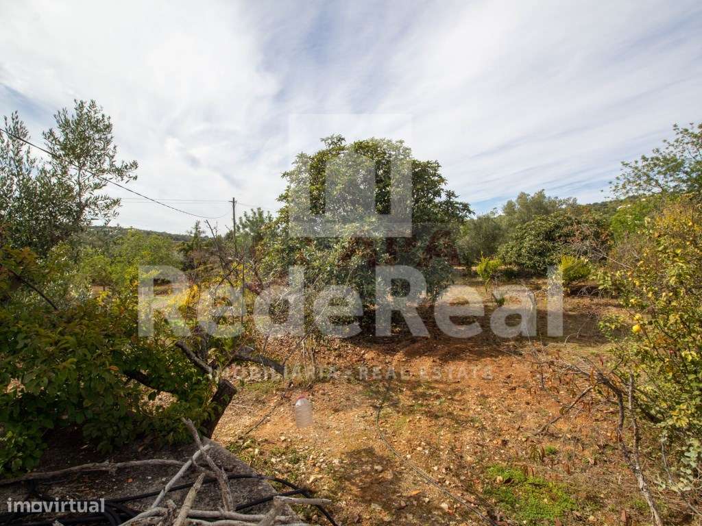 Moradia com 1. 556 hectares com furo e água da rede-18