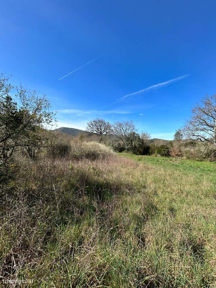 Terreno Rústico Alcaria - Grande imagem: 5/10