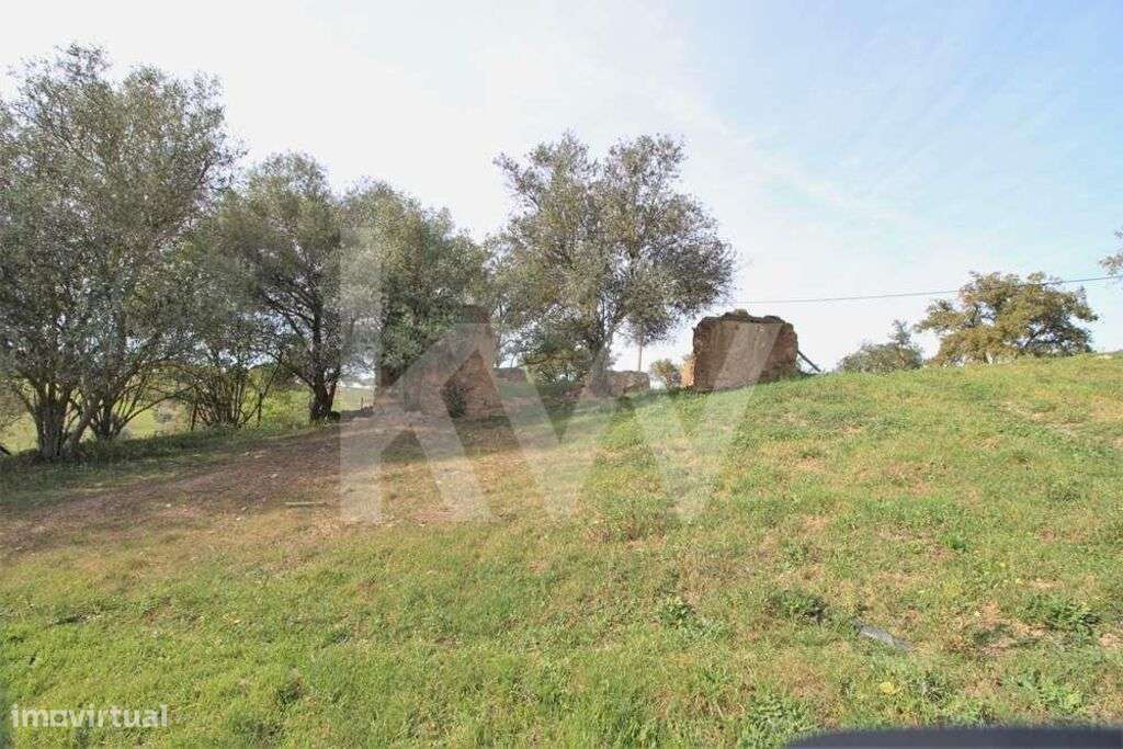 RUINA IMPLANTADA NUM TERRENO COM 6 500 M2, ZONA TRANQUILA,  ALDEIA DOS - Grande imagem: 3/21