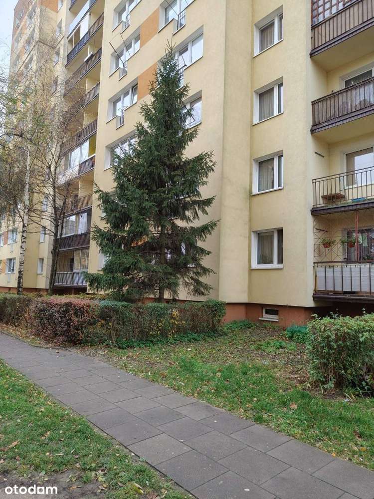 3 pokojowe mieszkanie w stylu klasycznym osiedle S-15