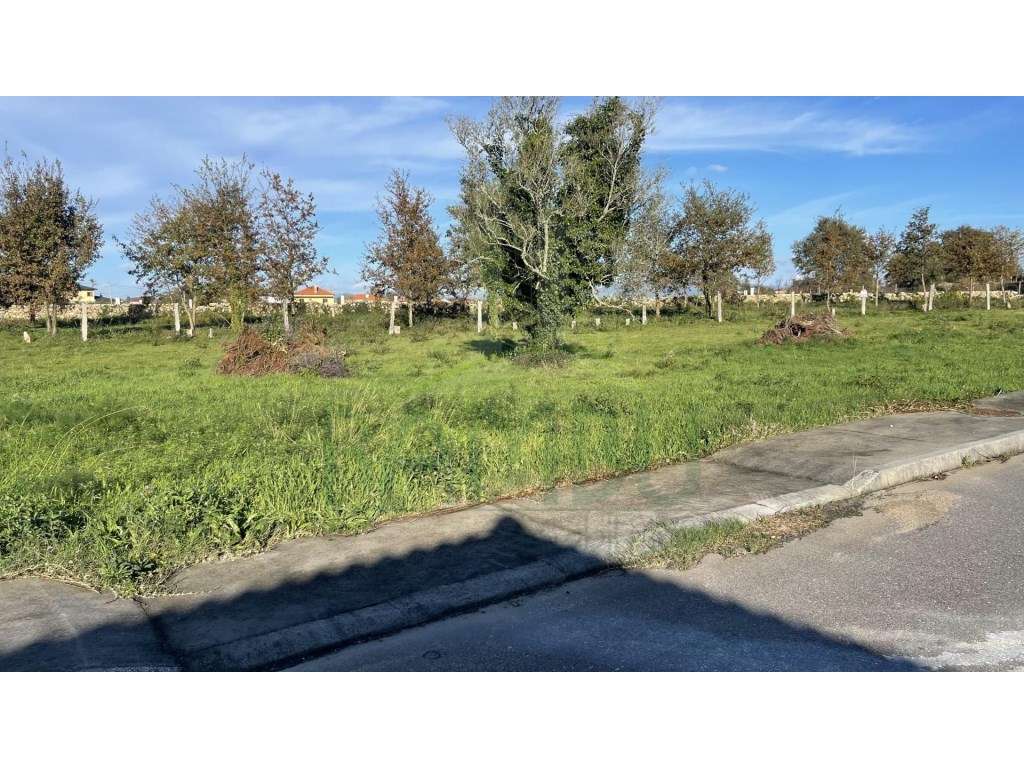 Terreno para venda em Friestas - Grande imagem: 4/7