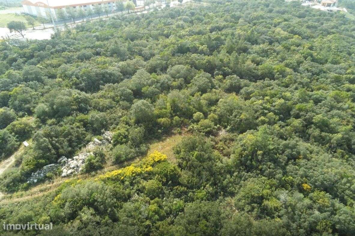 Terreno Rústico na preferia da fantástica Cidade de Fátima - Grande imagem: 3/6