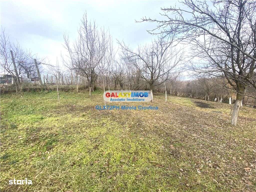 Vanzare casa Baicoi Prahova zona Dambu - Imagine principală: 5/14