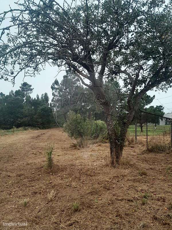 Moradia T3 para venda - Grande imagem: 4/15