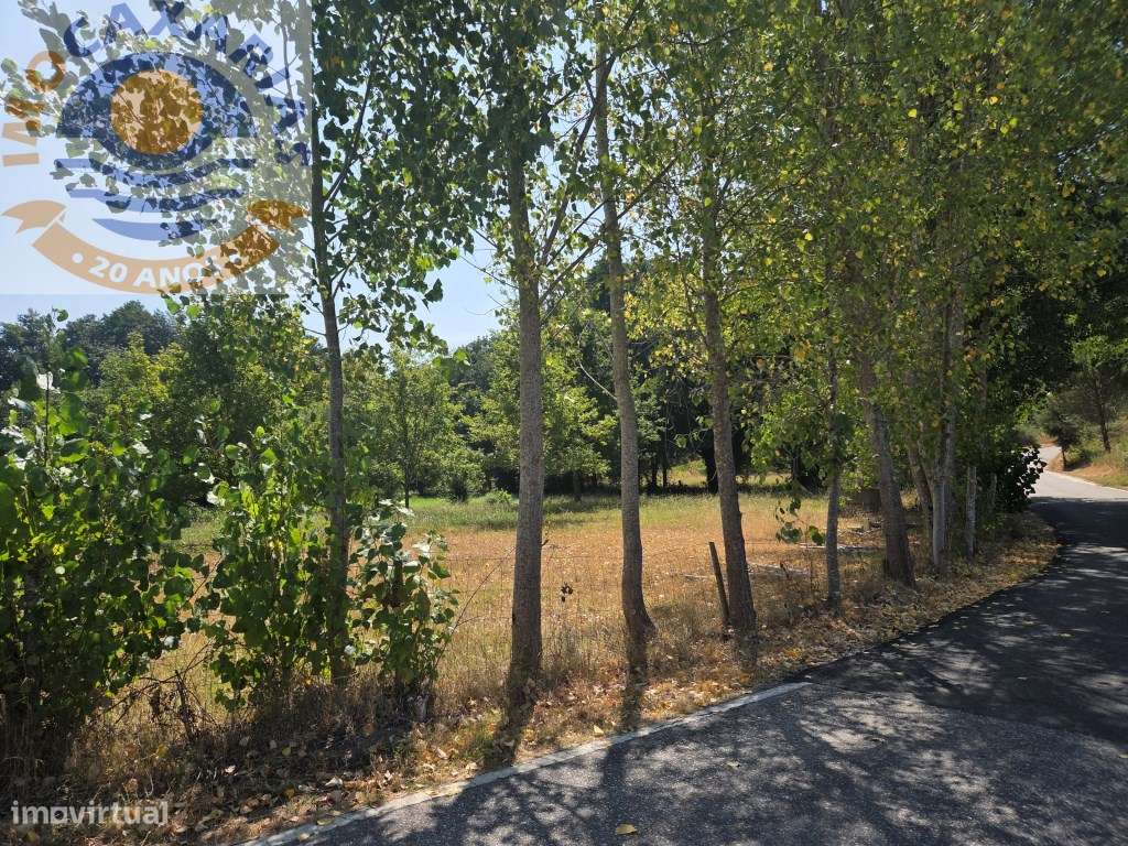 Terreno - Grande imagem: 5/19