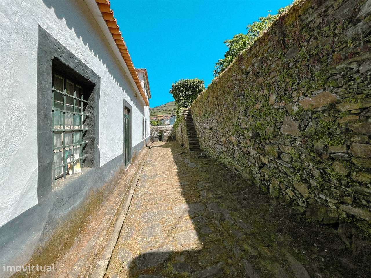 Quinta com Casa senhorial brasonada do Século XVIII na região do Douro-47