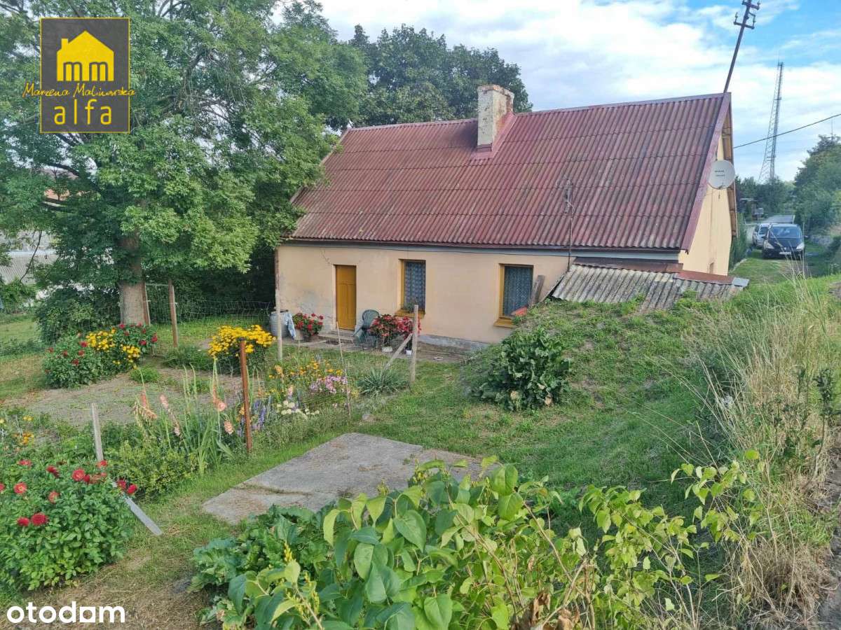 Nowe*Nowy Świat*Działka 3773m2*OD Zaraz-8