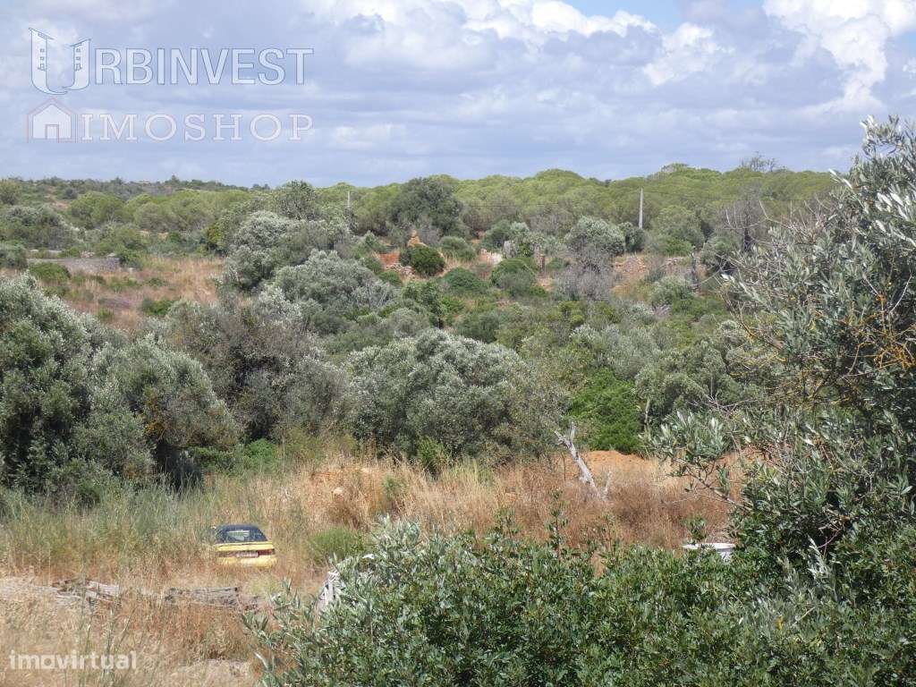 Excelente terreno com cerca de 3 hectares, sítio da Hortinha, Ferra... - Grande imagem: 4/19