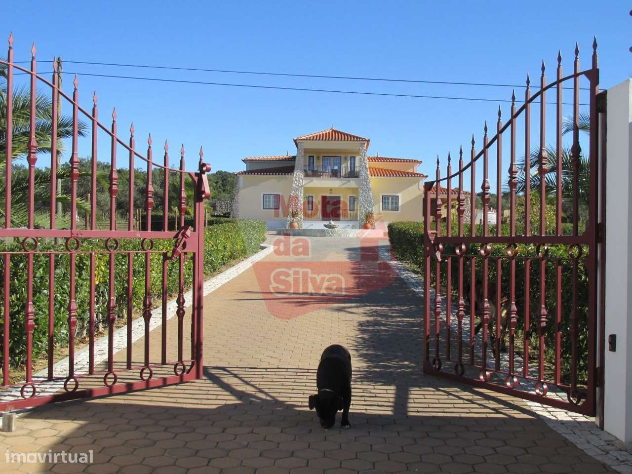 Excelente Quinta T4 em Cabeço de Vide, Fronteira - Grande imagem: 5/59