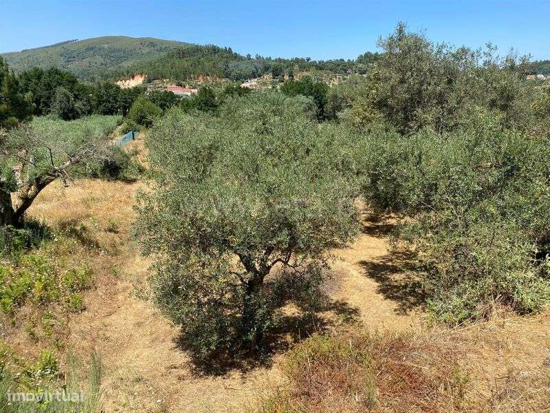 Terreno Rústico / Fundão, Castelejo - Grande imagem: 2/4