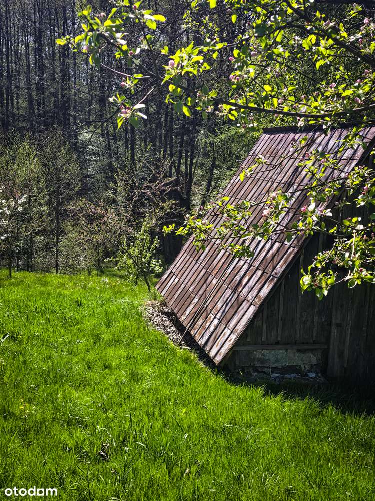 Dom Gaj | 4 działki (3xMNU)| duży potencjał pod zabudowę lub sprzedaż-13