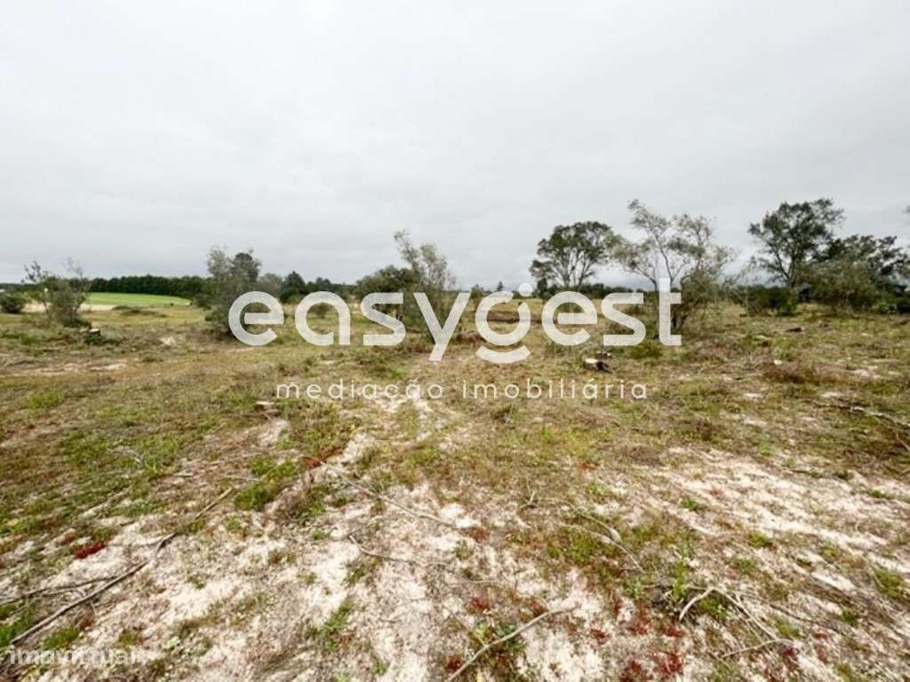 Terreno com 19.585 m2, localizado na Asseiceira, Poceirão - Grande imagem: 2/7