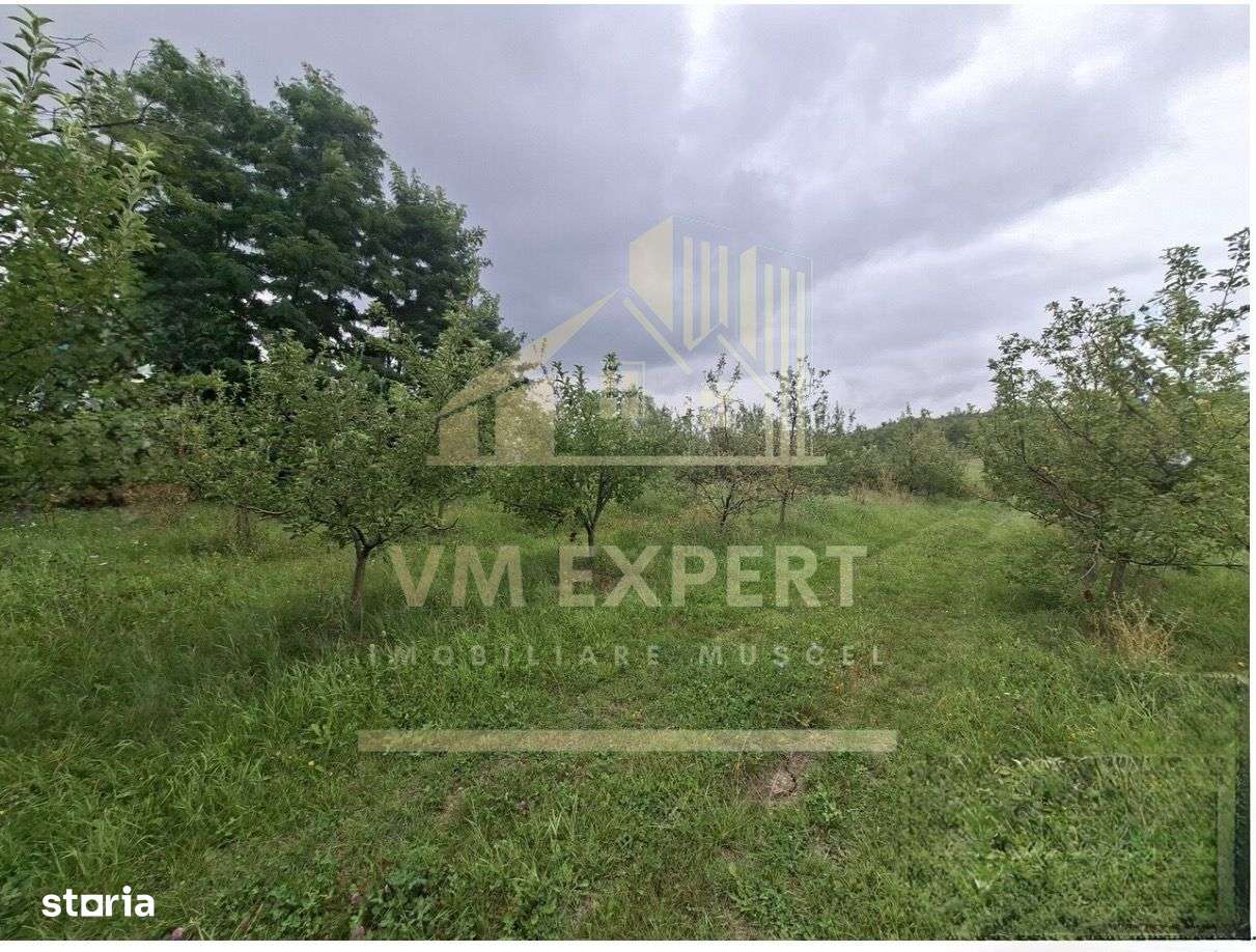 TEREN 20.621 MP CAMPULUNG - Imagine principală: 5/7