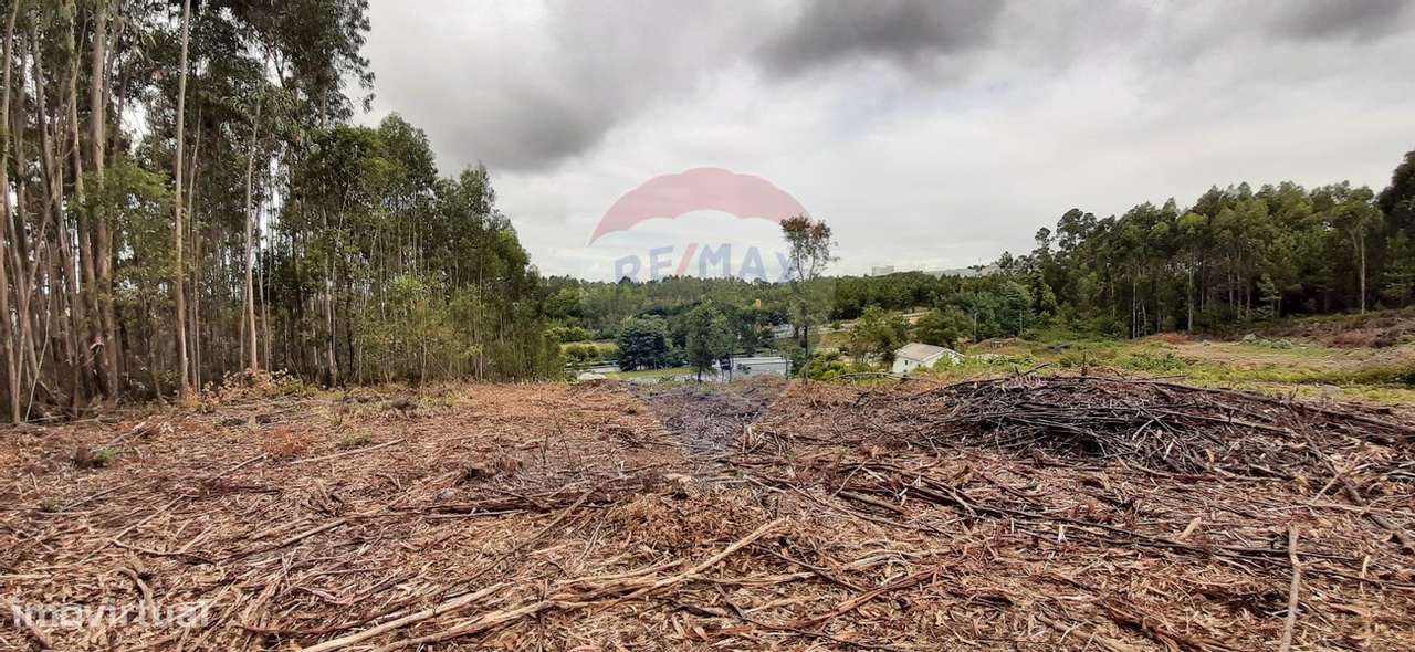 Terreno  para venda - Grande imagem: 3/6