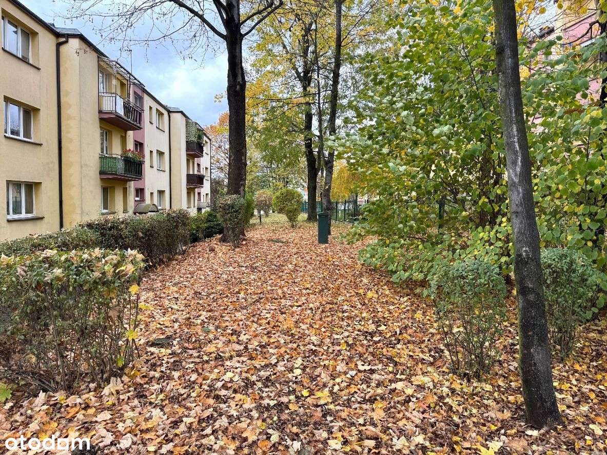 Perełka lokalizacyjna na Podwalu-8