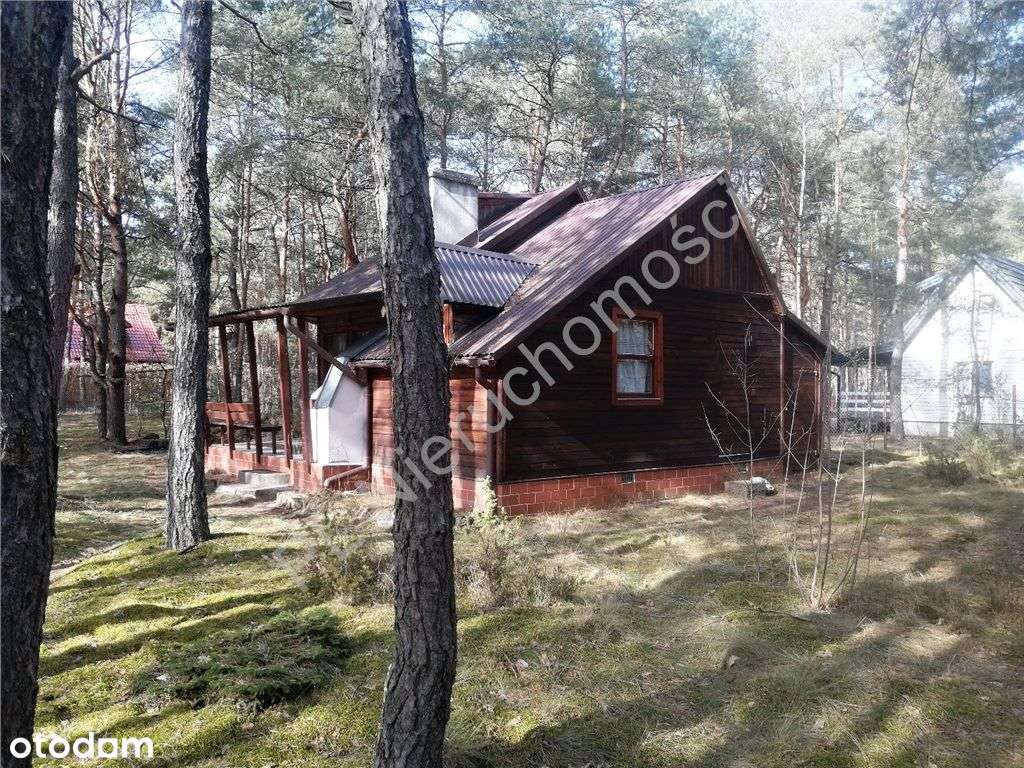 Dom letniskowy wśród lasów w gminie Dobre-6