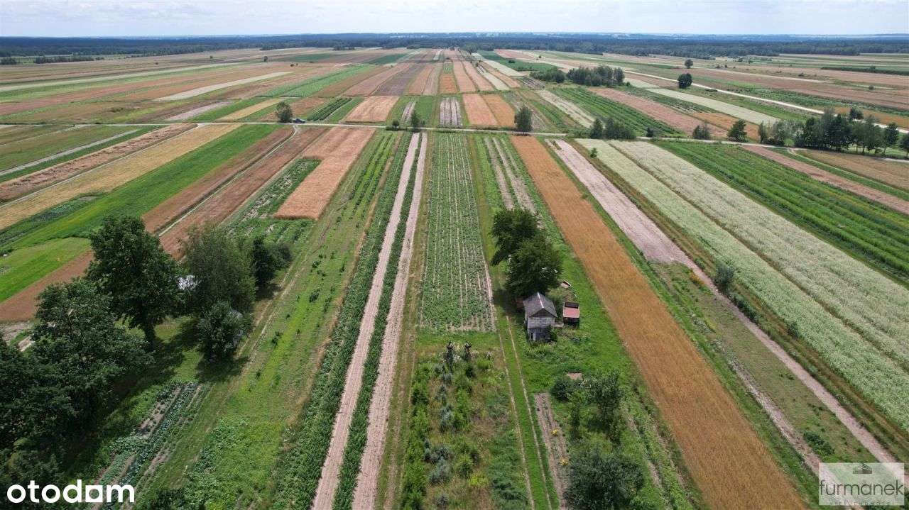 Działka pod zabudowę w spokojnej miejscowości - Pełny obrazek: 5/14