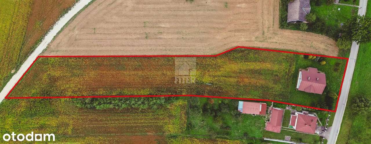 dom do remontu na dużej działce - Pełny obrazek: 4/16