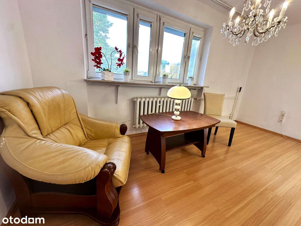 Dobra Cena ! 2 pok / 44 m - Pełny obrazek: 3/18