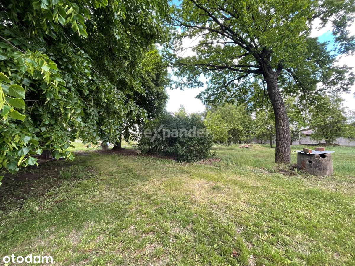 Działka Budowlano-rolna z projektem podziału - Pełny obrazek: 5/6