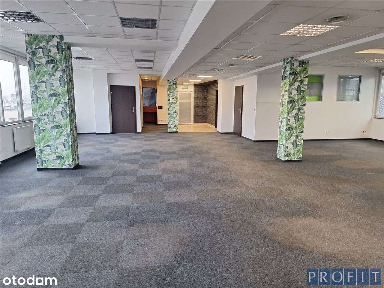 Biuro 264m - Katowice centrum - wysoki standard - Pełny obrazek: 4/13
