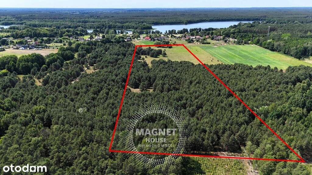 Działki blisko jeziora w Ostrowcu 30km od Gorzowa - Pełny obrazek: 4/20