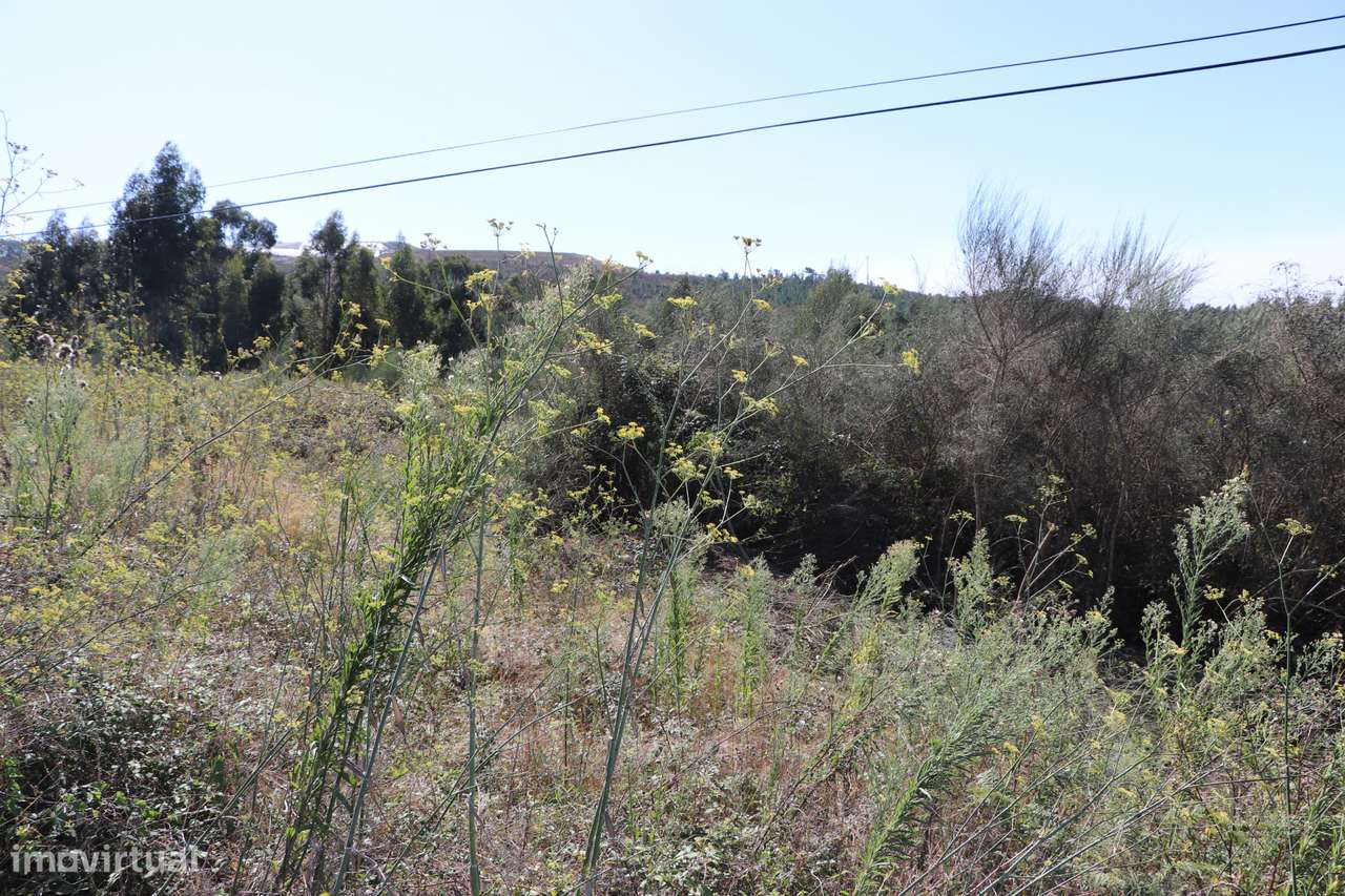 Lote de Terreno  Venda em Lustosa e Barrosas (Santo Estêvão),Lousada - Grande imagem: 3/5