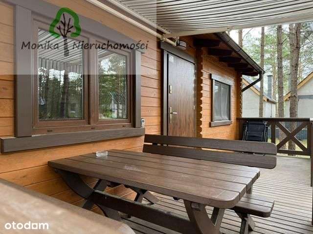 Borsk - 3 działki, 4 domki - las, jezioro - Pełny obrazek: 5/20