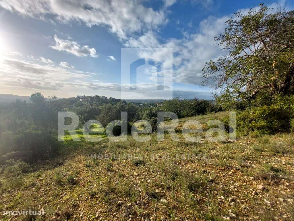 Terreno rústico com 6160m2 nos Gorjões - Grande imagem: 4/10