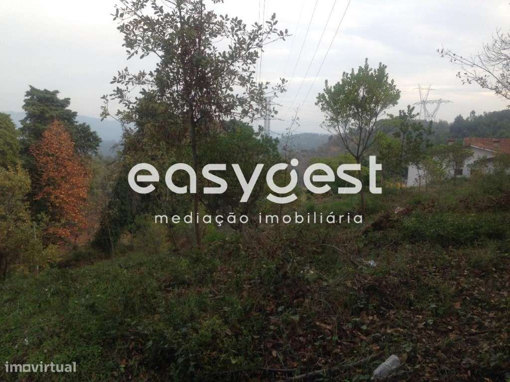 Terreno c/2000m2 Santa Clara - Grande imagem: 5/7