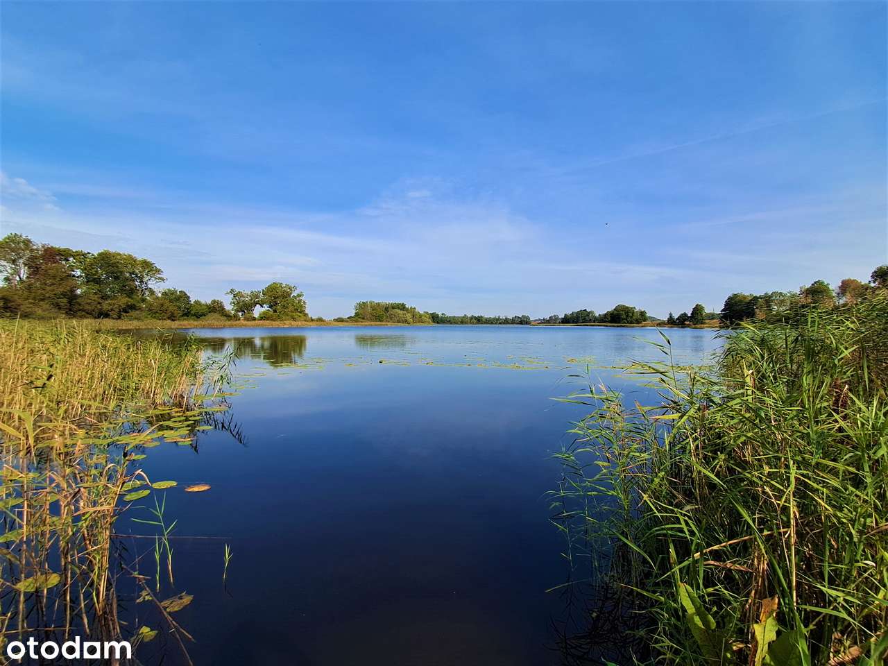 Na sprzedaż 5 działek budowlanych w Ławach z pięknym widokiem-8