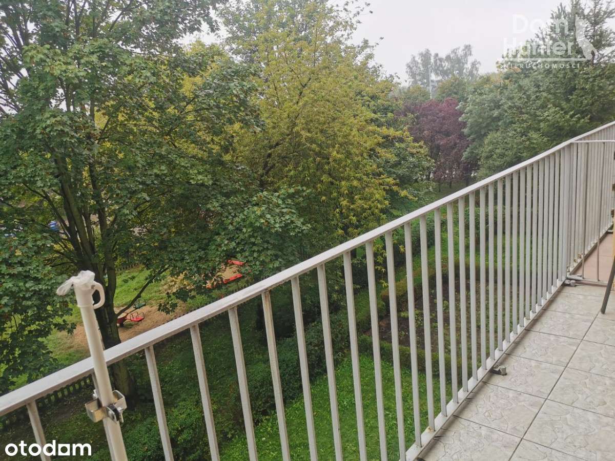 Po remoncie, gotowe, 2 pokojowe, na Chełmie - Pełny obrazek: 5/16