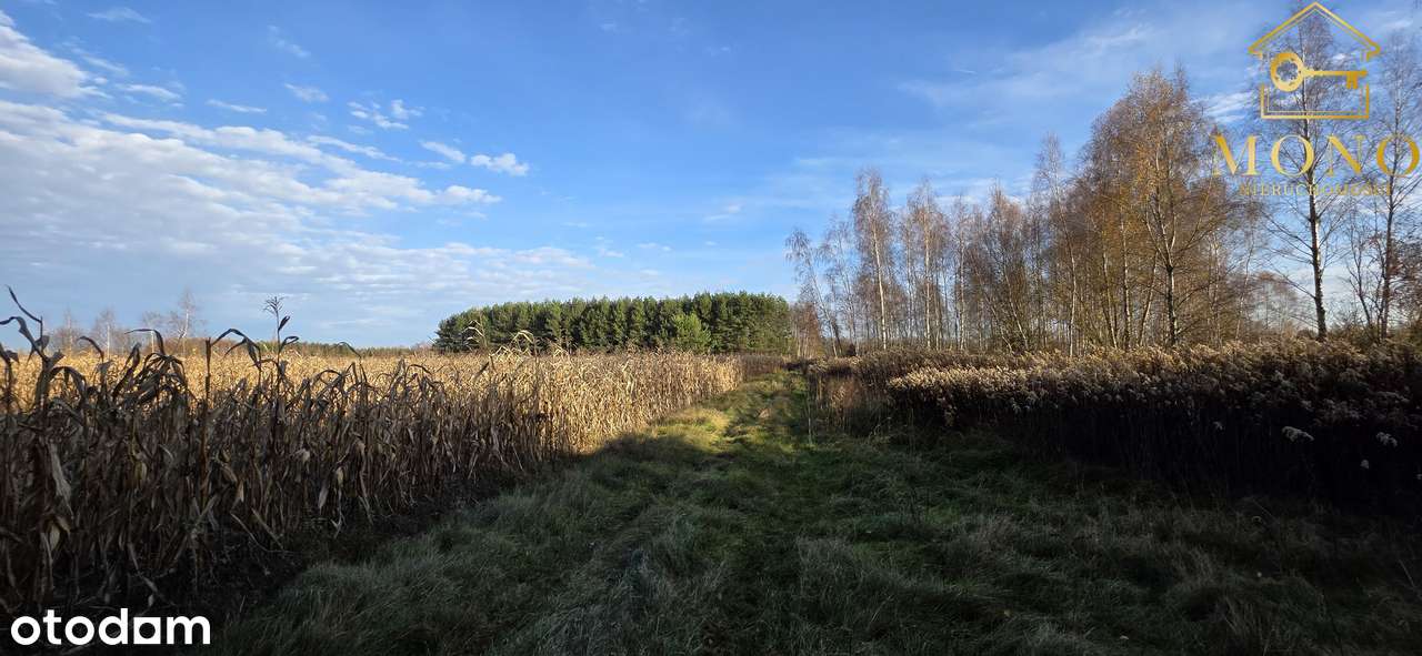 Działka 1,61 ha ok. 10 km od Buska-Zdrój-6