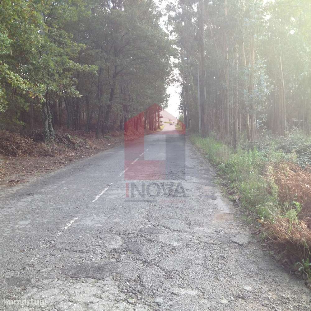 Terreno industrial, Arcozelo - Grande imagem: 5/7