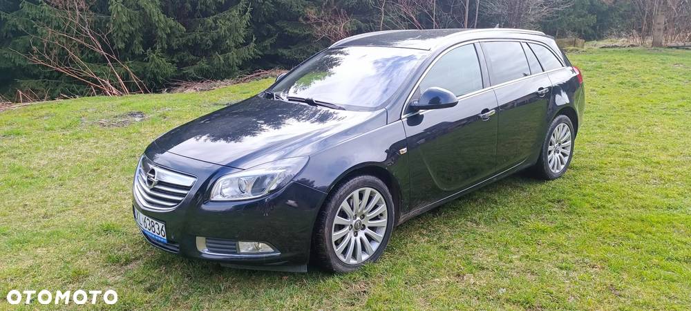 Opel Insignia 2.0 CDTI Sports Tourer Automatik 4x4 Edition - 10