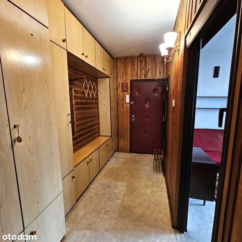 Miechowice- 2 Duże pokoje przy lesie !!! - Pełny obrazek: 4/8