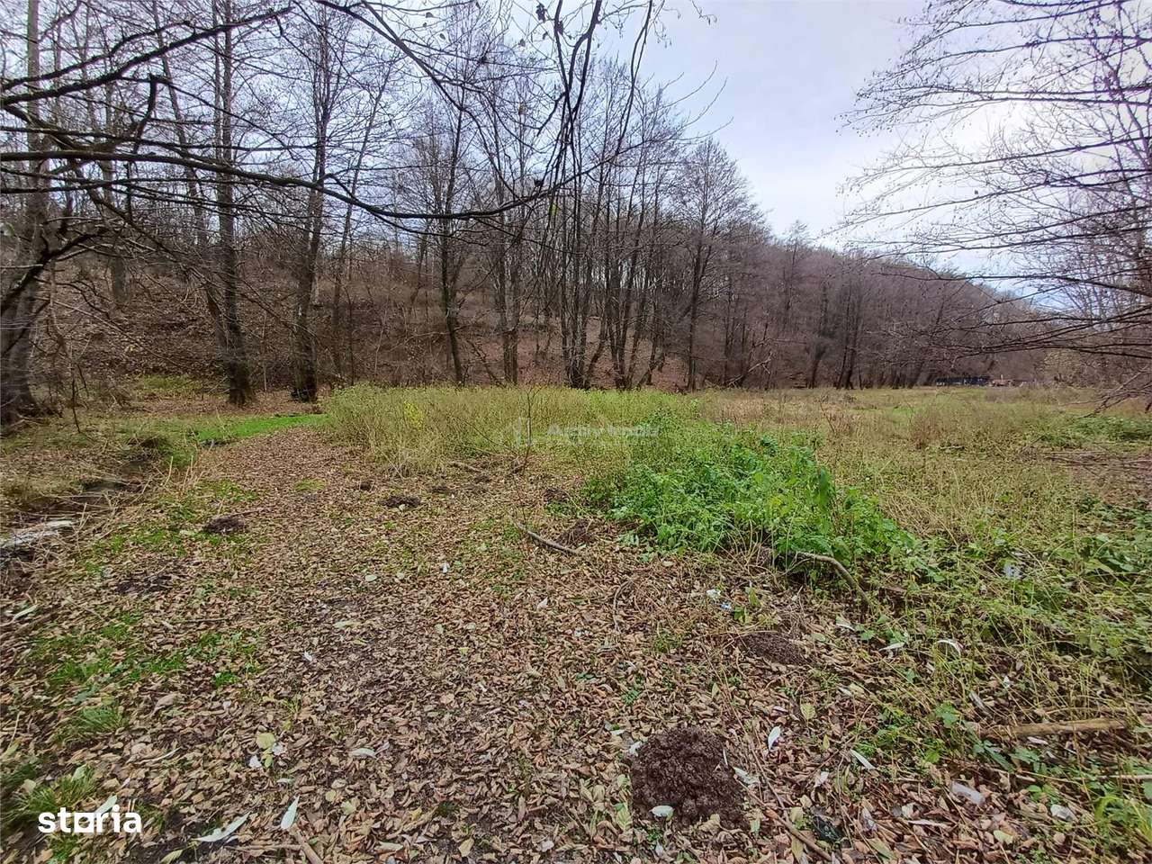 Resita, Teren Drept Intravilan, Langa Prau si Drum, 1308 Mp., 15 EuroM-11