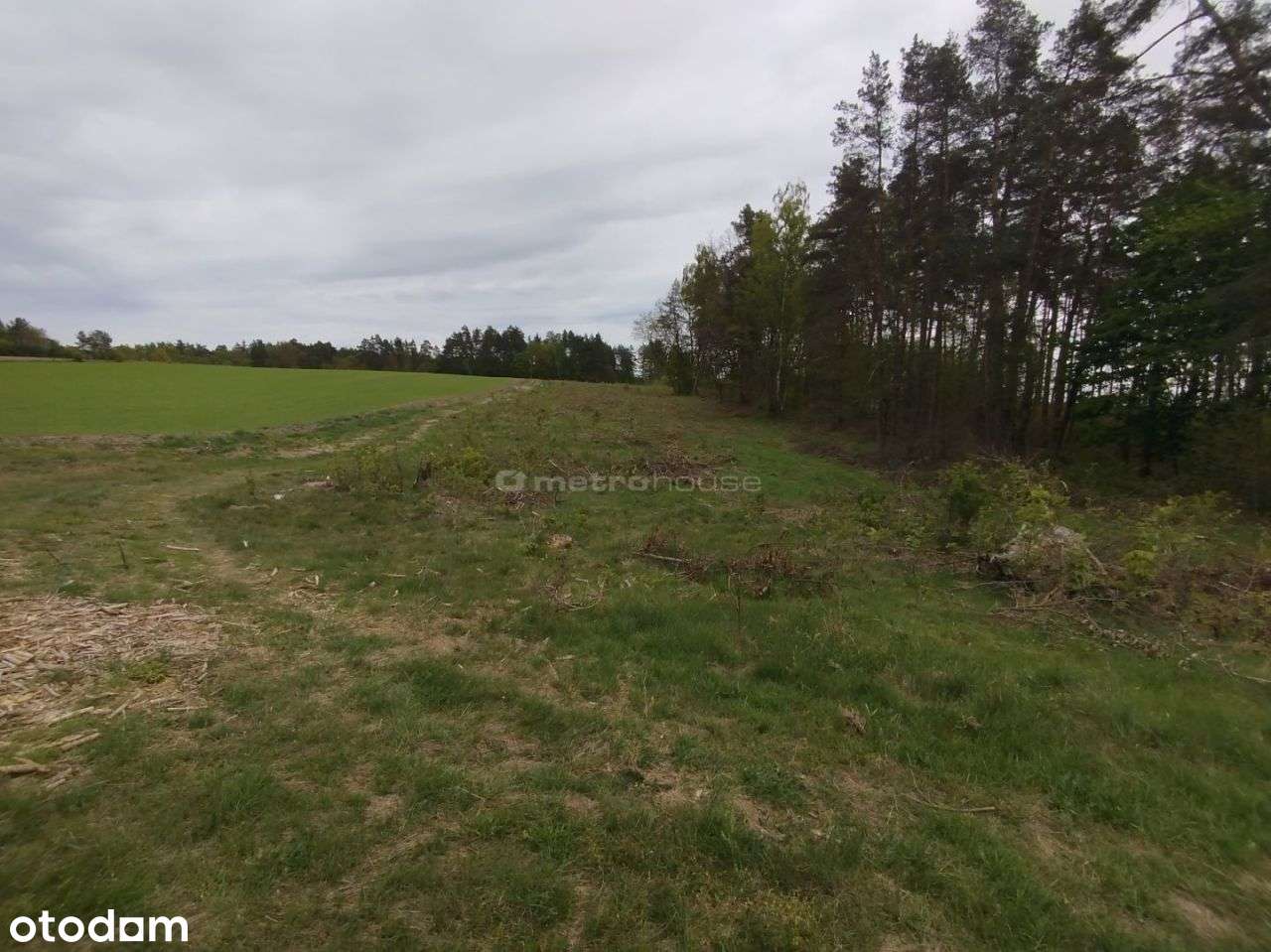 Działka bud., 12880m²,Dębnica Kaszubska - Pełny obrazek: 4/9