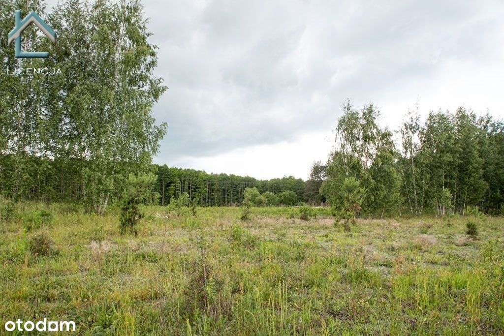 Działka przy ul. Ceglanej w Nowodworcach, Wz-1