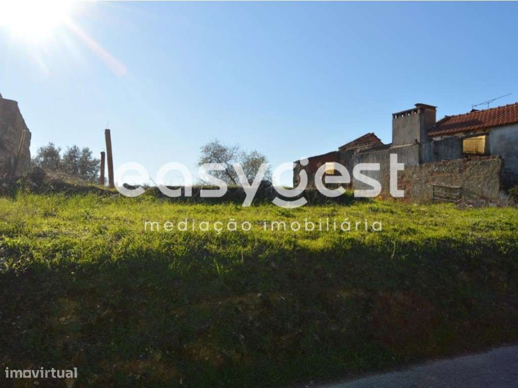 Moradia com Logradouro para reabilitar perto de Torres Novas - Grande imagem: 2/18