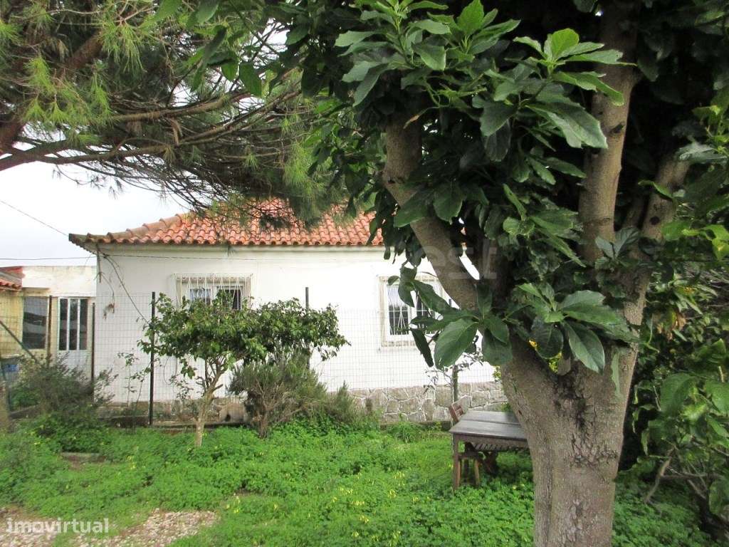 Terreno urbano com 2 moradias, rendimento e potencial construtivo -... - Grande imagem: 4/18