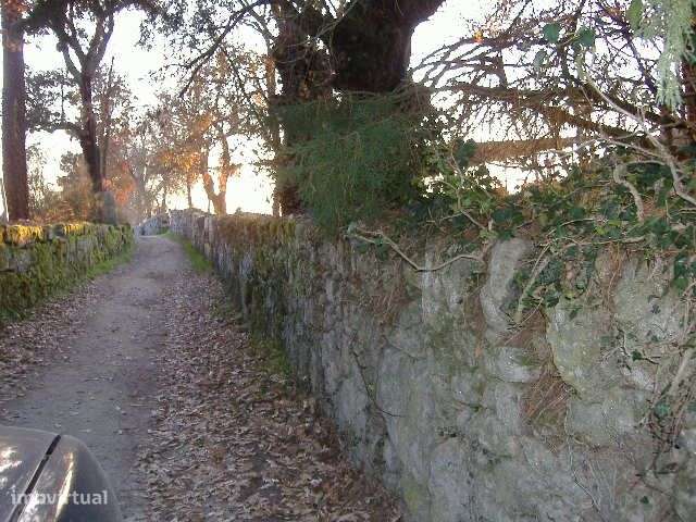 Quinta em Chaves Terreno 50 Ha (500 mil M2) Construção 1.593 m2-27