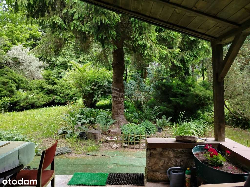 piękne ranczo z łąką i lasem pod Horyńcem-Zdrojem - Pełny obrazek: 2/15