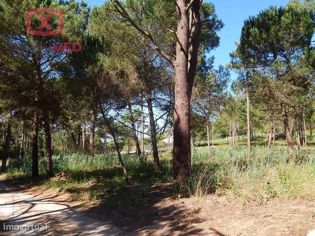 Colares - Grande imagem: 3/16