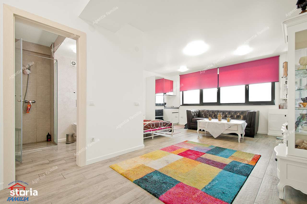 Vanzare apartament cu o camera, Str.Basarabiei( Central Park).-7